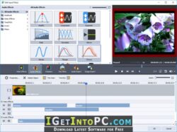 get avs video converter free