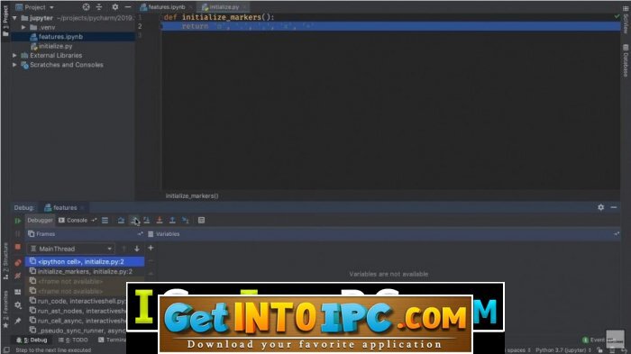 pycharm professional version cost